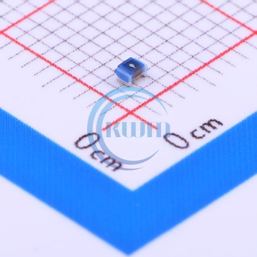 Hot Selling SMD Power Inductors 120nH R12 300mA CS0603-R12J-S